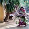 Home gardening program implemented in the office premises - Home gardening program implemented in the office premises